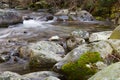 Fast mountain river in forest. Ziarska valley. Western Tatras. Slovakia